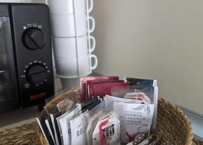 Torreviejaplace Apartment *